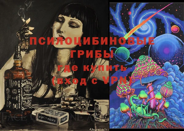 трава Бородино
