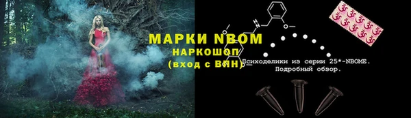 трава Бородино