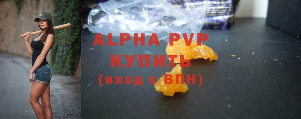 трава Бородино