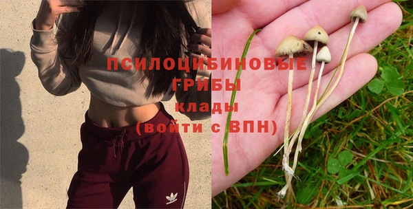 мдма Бронницы