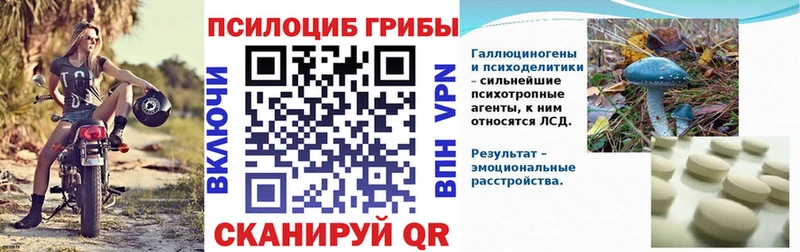 shop клад  цена   Новосибирск  Псилоцибиновые грибы ЛСД 